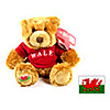 Wales Souvenirs